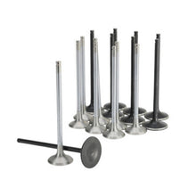 Load image into Gallery viewer, Skunk2 Honda K20C1 Alpha Series Intake &amp; Exhaust Valve Set (Standard Compression)