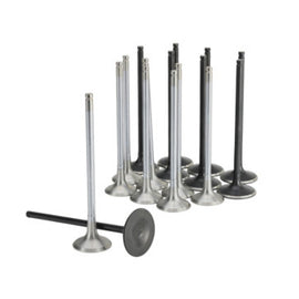 Skunk2 Honda K20C1 Alpha Series Intake & Exhaust Valve Set (Standard Compression)