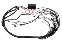 Load image into Gallery viewer, Haltech GM GEN IV (LS2/LS3 Non DBW) Elite 2000/2500 Terminated Harness w/EV1 Inj Connectors