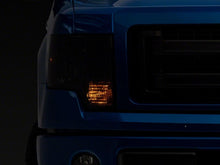 Load image into Gallery viewer, Photo - Close Up