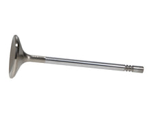 Load image into Gallery viewer, Manley Ford 4.6L 37.5mm Diameter 117.35mm Length Race Master Exhaust Valves (Set of 8)