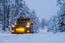 Load image into Gallery viewer, Photo - Mounted