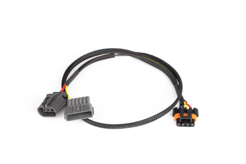 Haltech Nissan RB30 LS1 Coil Sub-Harness