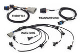 Haltech NEXUS Rebel LS Kit (Suits Gen III) Cable Throttle/EV1 Injectors/Manual Transmission