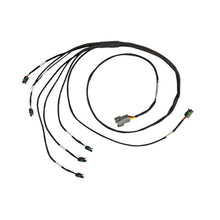 Load image into Gallery viewer, Haltech 8 Channel Individual High Output IGN-1A Inductive Coil to GM LS V8 Adaptor Sub-Harness