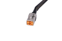 Load image into Gallery viewer, Diode Dynamics SS5 Ultra Heavy Duty Terminating Splitter Harness (Single)