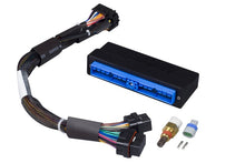 Load image into Gallery viewer, Haltech Nissan Patrol/Safari Y60/Y61 (A/T / TB45E Only) Elite 2000/2500 Plug-n-Play Adaptor Harness