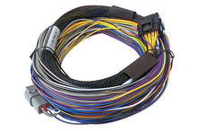 Load image into Gallery viewer, Haltech Elite 750 8ft Basic Universal Wire-In Harness