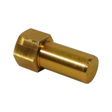 Load image into Gallery viewer, BD Diesel Dodge 94-02 2500/3500 &amp; 94-01 1500 (2WD ONLY) Steering Stabilizer Guide Rod