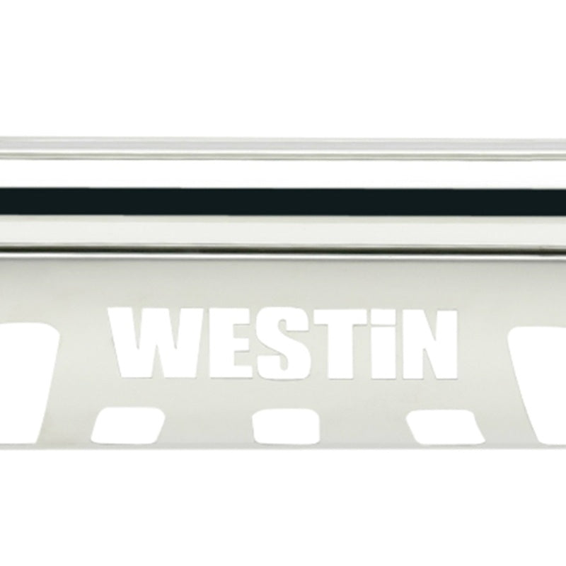 Westin 2009-2014 Ford F-150 E-Series Bull Bar - SS