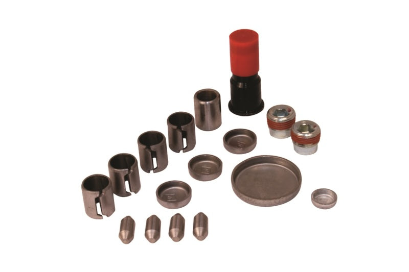 Ford Racing 4.6 Liter Aluminum Block Plug and Dowel Kit