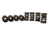 Ford Racing Replacement Valve Springs (TVS-1734) - Set Of 8