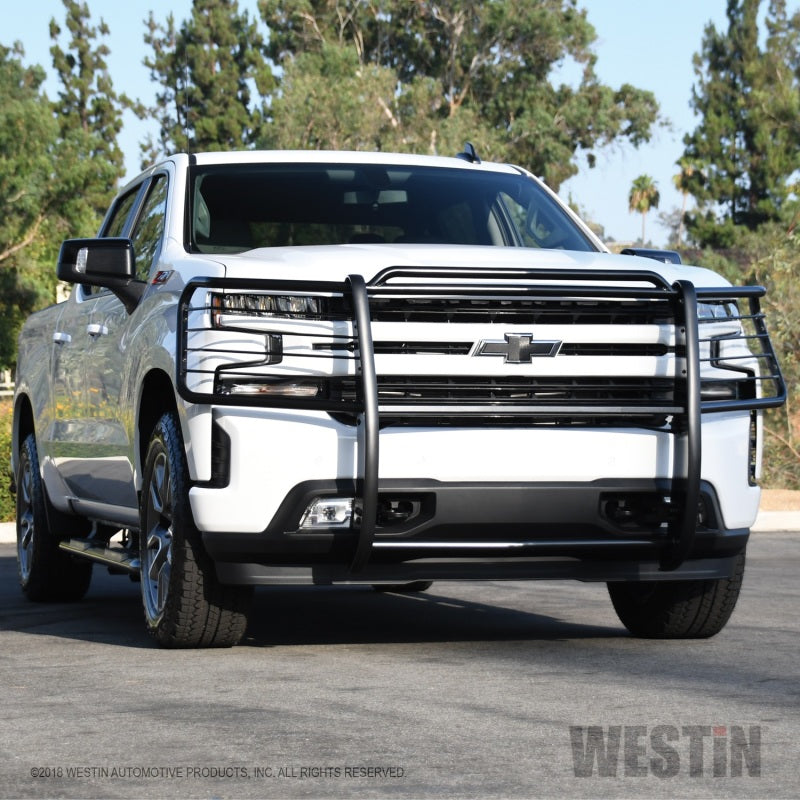 Westin 2019 Chevrolet Silverado 1500 Sportsman Grille Guard - Black