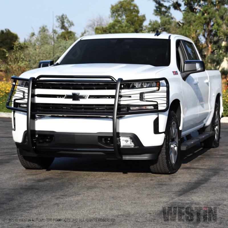 Westin 2019 Chevrolet Silverado 1500 Sportsman Grille Guard - Black