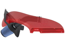 Load image into Gallery viewer, Photo - Primary