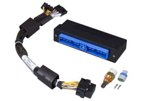 Load image into Gallery viewer, Haltech Nissan Patrol/Safari Y60 (TB42E Only) Elite 750 Plug-n-Play Adaptor Harness