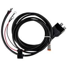 Load image into Gallery viewer, Photo - Primary