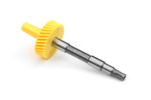 Load image into Gallery viewer, Photo - Primary