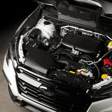 Load image into Gallery viewer, User 1