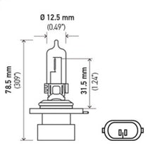 Load image into Gallery viewer, Hella Bulb 9005Xs/Hb3A 12V 65W P20D T4