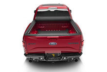 Load image into Gallery viewer, Photo - Mounted