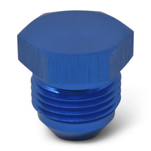 Load image into Gallery viewer, Russell Performance -12 AN Flare Plug (Blue)