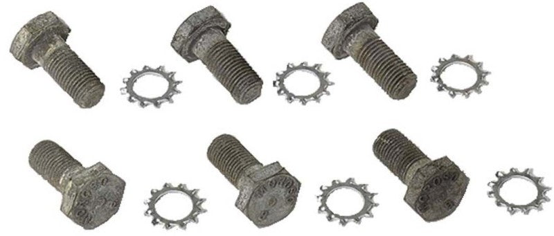 Moroso Chevrolet Big Block/Small Block/90 Degree V6 Flex Plate Bolts - Steel - 6 Pack