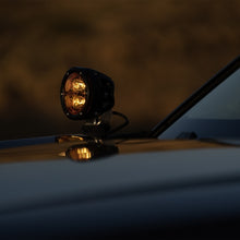 Load image into Gallery viewer, Photo - Mounted