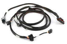 Load image into Gallery viewer, Haltech Elite 2000/2500 Terminated HPI6 Ignition Harness